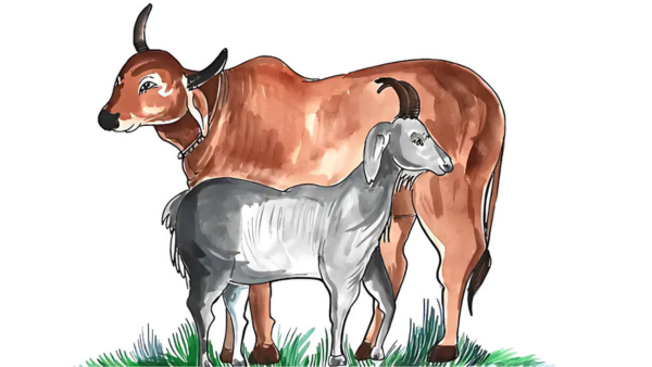 lustrasi hewan kurban, Idul Adha. (Image by Harryarts on Freepik)